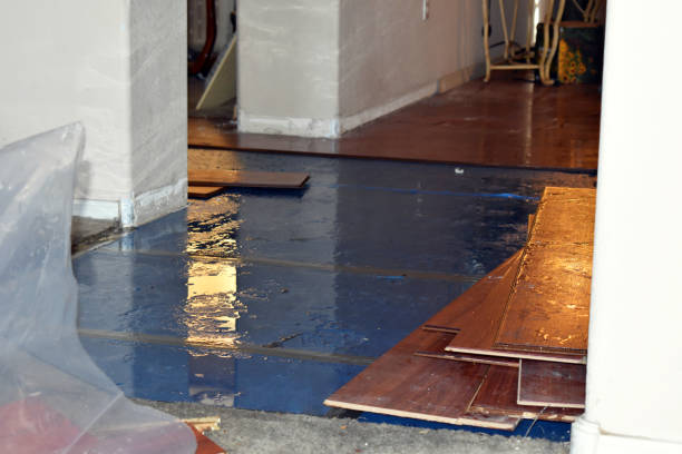 Professional Basement Flood Cleanup technician working in Nerstrand, MN